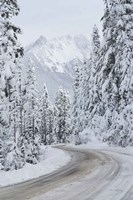 Mount Baker Highway II Fine Art Print