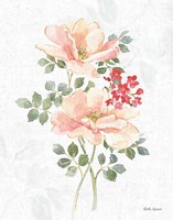 Floral Focus VIII Fine Art Print