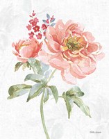 Floral Focus VI Fine Art Print