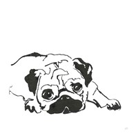 Line Dog Pug II Fine Art Print