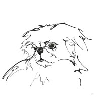 Line Dog Pekingese Fine Art Print