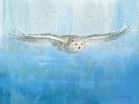 Soaring Fine Art Print