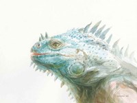 Tropical Iguana Fine Art Print