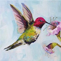 Hummingbird I Framed Print
