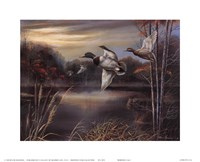 Morning Call Fine Art Print