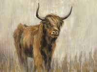 Highland Mountain Cow Fine Art Print