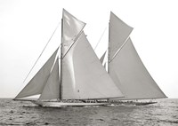 Columbia & Shamrock, 1901 Fine Art Print