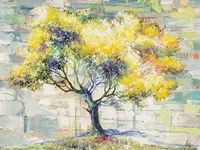 Albero del Sole Fine Art Print