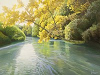 Fiume Sereno Fine Art Print