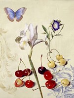 Cabinet of Curiosities 1 Fine Art Print