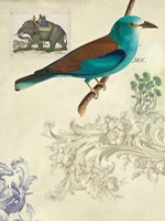 Cabinet of Curiosities 2 Fine Art Print