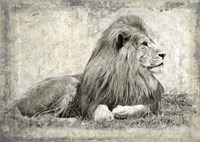 Memories of Africa I Fine Art Print