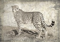 Memories of Africa II Fine Art Print