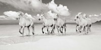 Band of Brothers, Lanikai Beach, Hawaii (BW) Fine Art Print
