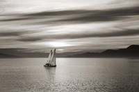 Set Sails Fine Art Print