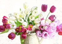 Bouquet on White Background Fine Art Print