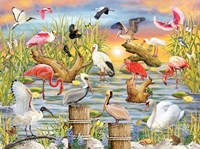 Fabulous Water Birds Fine Art Print