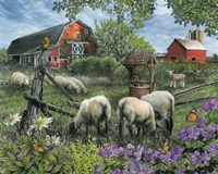 Pleasant Valley Sheep Farm Fine Art Print