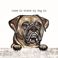 Home is Where My Dog Is Framed Print