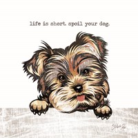 Spoil Your Dog Framed Print