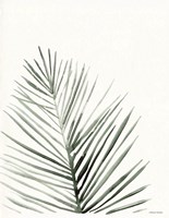 Summer Botanicals 1 Fine Art Print