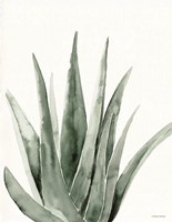 Summer Botanicals 2 Fine Art Print