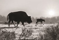 Lamar Valley Migration Fine Art Print