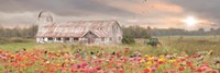Vermont Country Morning Fine Art Print