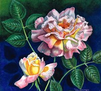 My Favorite Rose Fine Art Print