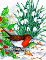 Robin's Return Fine Art Print