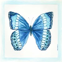 Butterfly II Framed Print