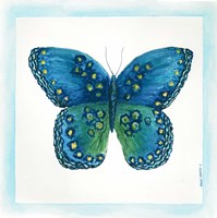Butterfly III Framed Print