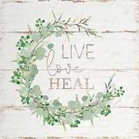 Live Love Heal Fine Art Print