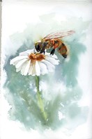 Oh the Pollen Fine Art Print