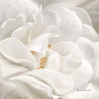 Neutral Rose No. 1 Framed Print