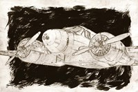 Flying High Fine Art Print