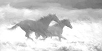 Running Wild  BW Fine Art Print
