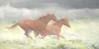 Running Wild Fine Art Print