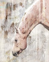 Safe Pasture Fine Art Print