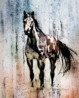 The Mustang King Fine Art Print