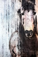 Old Soul Fine Art Print