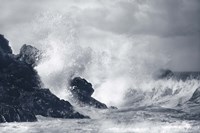 Indigo Crashing Wave Fine Art Print