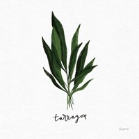 Herbs V White Fine Art Print