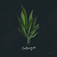 Herbs V Black Framed Print