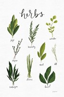 Herbs I White Fine Art Print