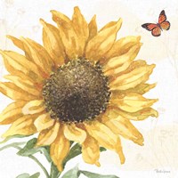 Sunflower Splendor IX Fine Art Print