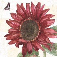 Sunflower Splendor X Fine Art Print