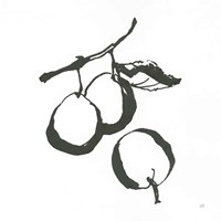 Plums II BW Framed Print