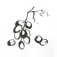 Grapes I BW Fine Art Print