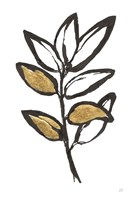 Leafed IX Fine Art Print